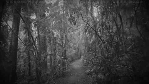 中国唐山大地震之阴兵借道