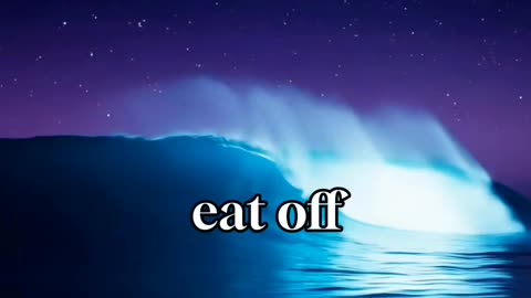 God Said Let Them Go