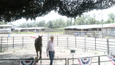 Skipper Calder & Cowboy-up Ministry bring horse training with a message at 11am.
