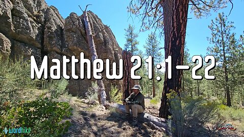 Matthew 21:1-22, Bible Reading in Nature, BSB
