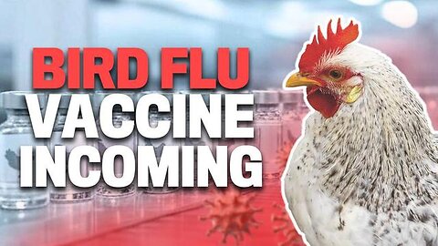 Biden Admin Attempts To Fast Track Bird Flu Vaccine Before Trump Returns To Office