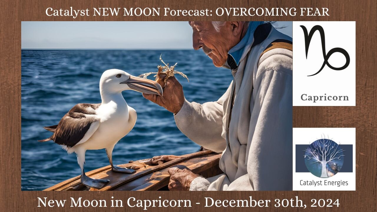 Catalyst CAPRICORN NEW MOON Forecast - LYRAN ACTIVATION for OVERCOMING FEAR - Dec 30 , 2024