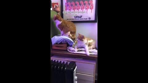 must watch at the end 👀🤣