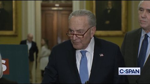 Sen Chuck Schumer To Musk: We Can't Cut Everything With A Meat Axe