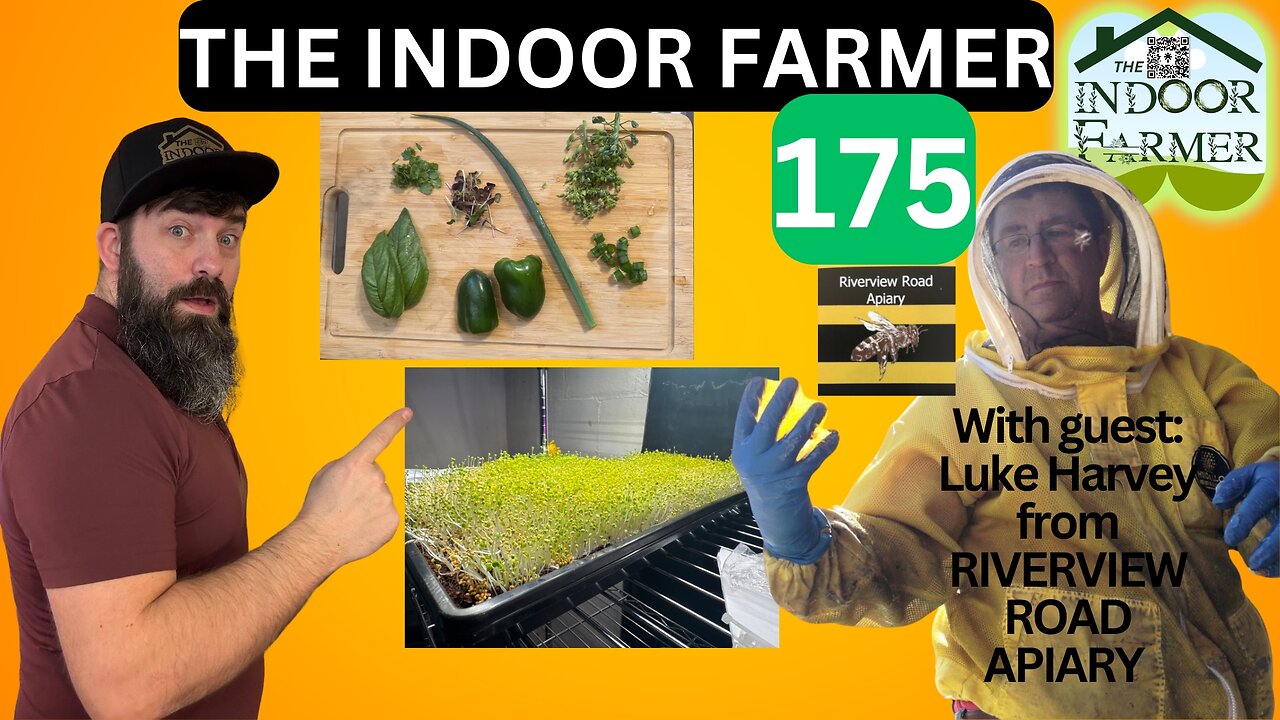 The Indoor Farmer ep 175, Special Guest: Luke Harvey @ Riverview Road Apiary