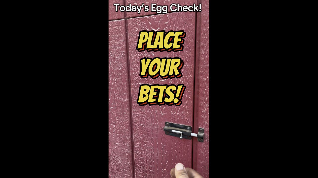 Today’s Egg Check!