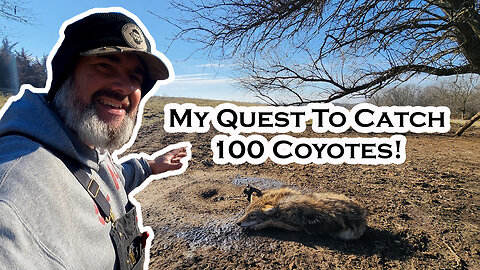 Trapping The "Bread Basket"! Coyote Catches: #60,61,62,63 | S5 Ep 17