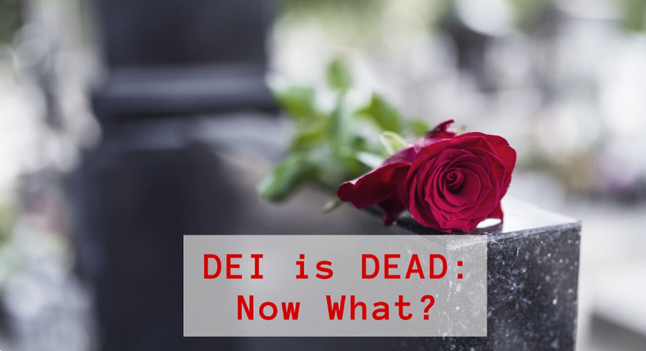 DEI IS DEAD! THIS IS A GOOD THING