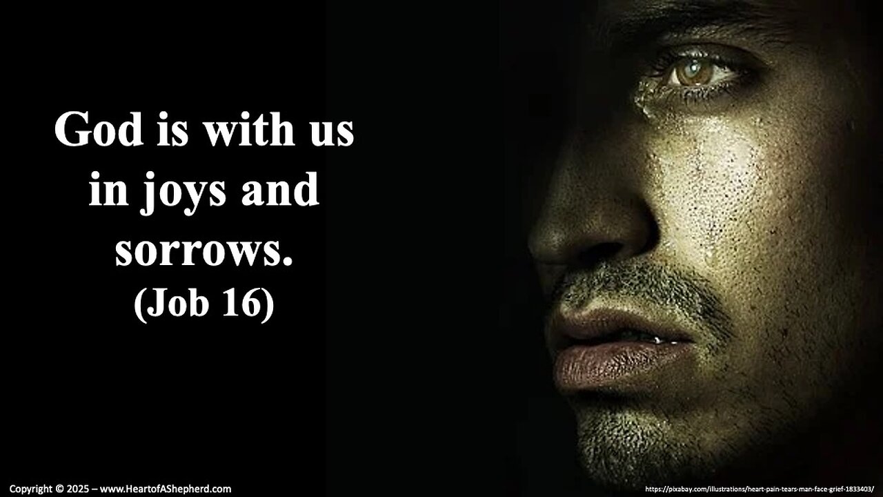 God is with us in joys and sorrows. (Job 16) - A daily Bible study from www.HeartofAShepherd.com.