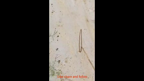 family love brother love make competition