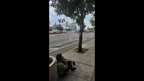 “Los Angeles pours about a billion dollars a year into “Housing First”