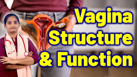 Structure & Functions of Women Vagina | Vaginal Discomfort | Homeopathy Treatment Medicine Cure