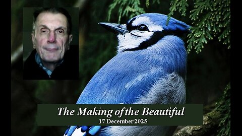 P01 The Making of the Beautiful (2025-12-17)