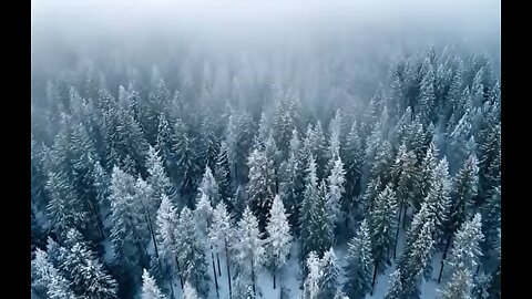 Mystical Nordic Fantasy Relax | 432Hz Old Norse Female Vocals | Gaming, Study & Stress Relief Mix