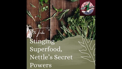 1% Tribe - Stinging Superfood, Nettle’s Secret Powers