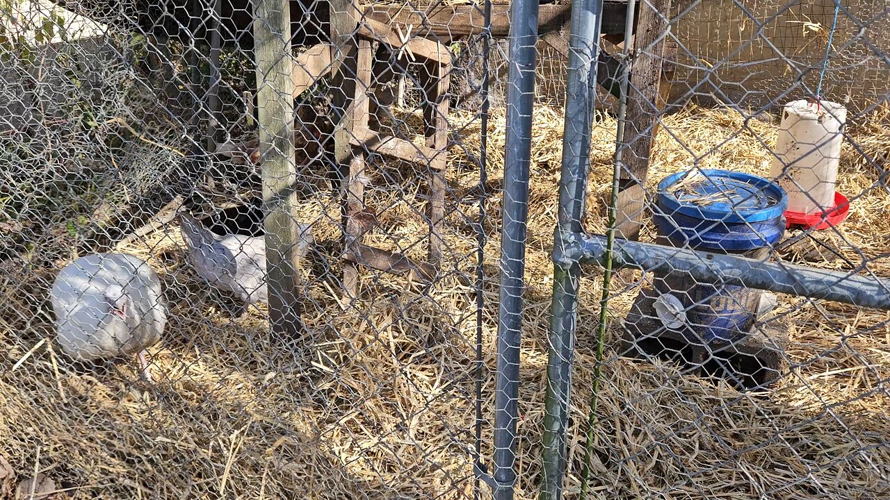 farming, Rescue, Self Defense