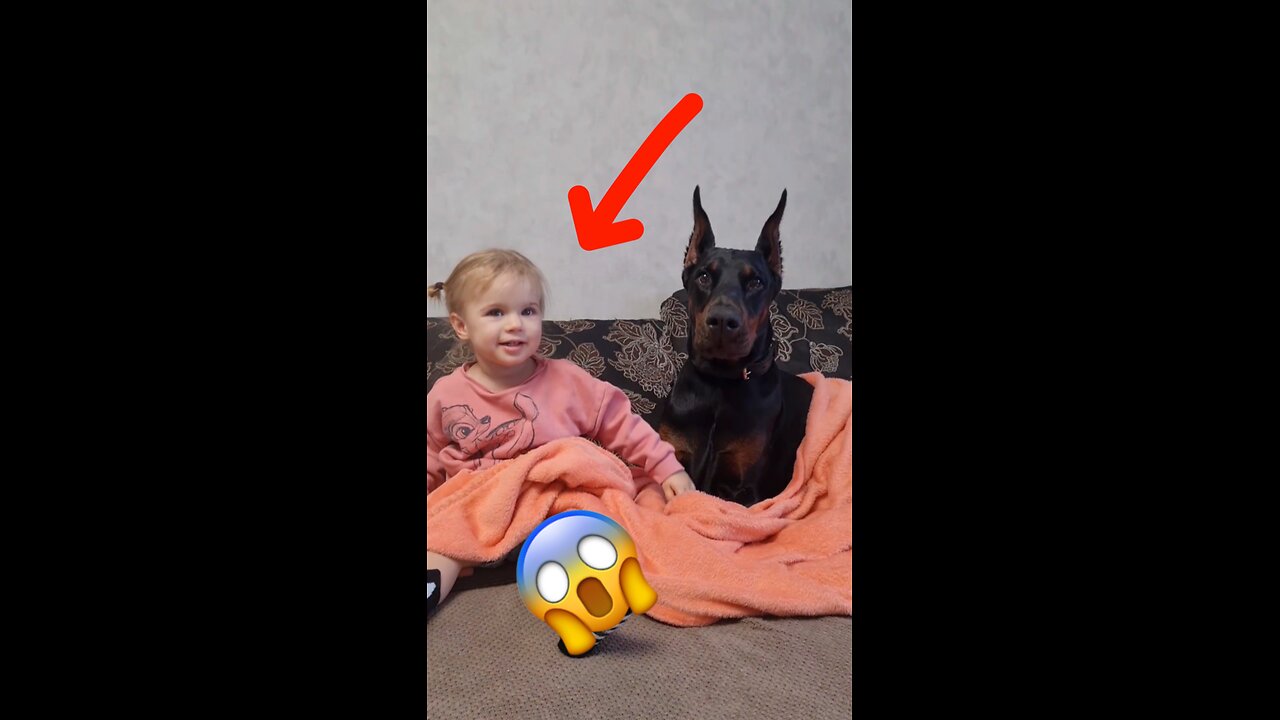 🐶 A friendship beyond words ❤️