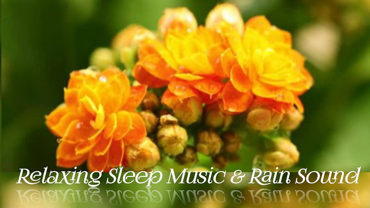 Relaxing Sleep Music With Rain Sounds - Meditation Music, Beautiful Relaxing Music, Sleep Instantly