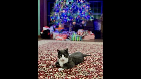 Episode 3055 CWSA 12/27/25