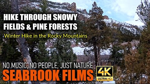 Hike Through Snowy Fields and Pine Forests: Winter Hike in the Rocky Mountains