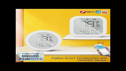 MoesHouse Tuya ZIGBE Smart Digital Temperature and Humidity Sensor LCD Display Intelligent Review