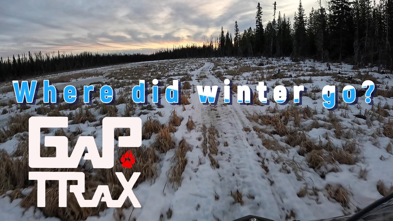 Where did winter go?