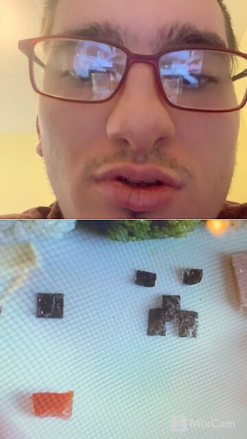 My reaction to cats eating Minecraft food