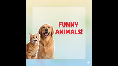 You’ll Be Crying With Laughter Watching These Animals 😹