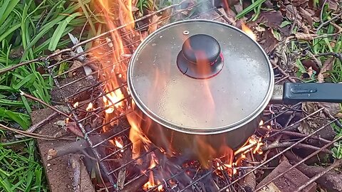 19, saving on electric bill by burning a few twigs,