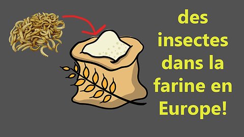 Il y aura bientôt des insectes dans la farine!