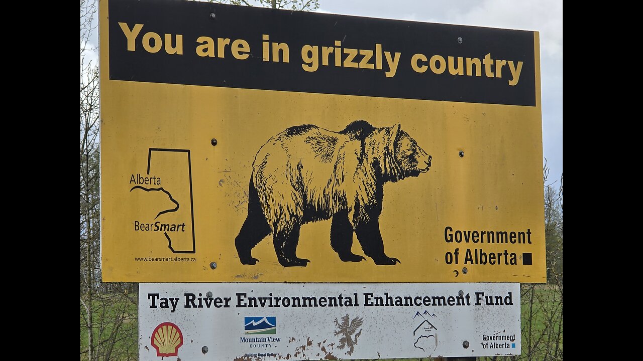 THIS HOW WE DO IT ep# 3