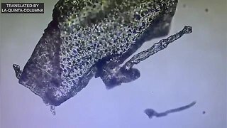 THE VACCINATED ARE IRREVERSIBLY MUTATED?