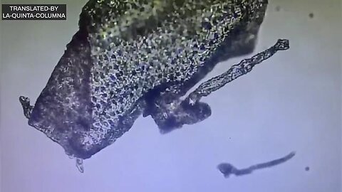 THE VACCINATED ARE IRREVERSIBLY MUTATED?