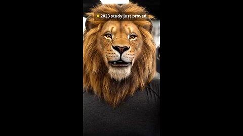 2023 FITNESS DELETED