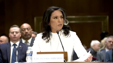 Tulsi Gabbard Shreds Democrats' 'Lies & Smears' That She's a 'Puppet' of Trump and Putin