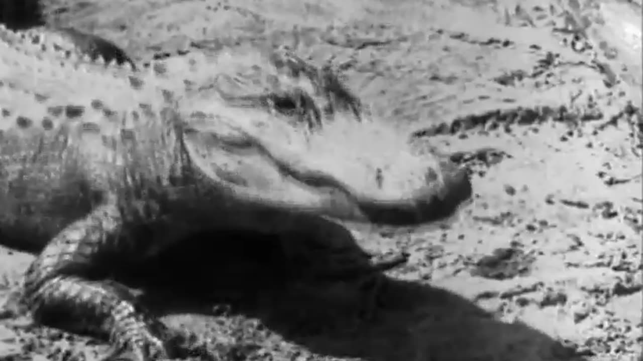 [REDEEMING A RUBBER EMPIRE. 3] - [REDEEMING A RUBBER EMPIRE. 3] - fc-fc-2634