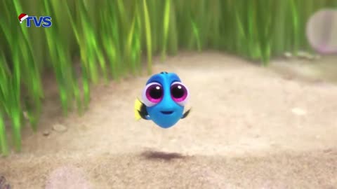[R] Inicio de "Buscando a Dory" en TVS Maracay (Venezuela 🇻🇪) (04/01/2026)