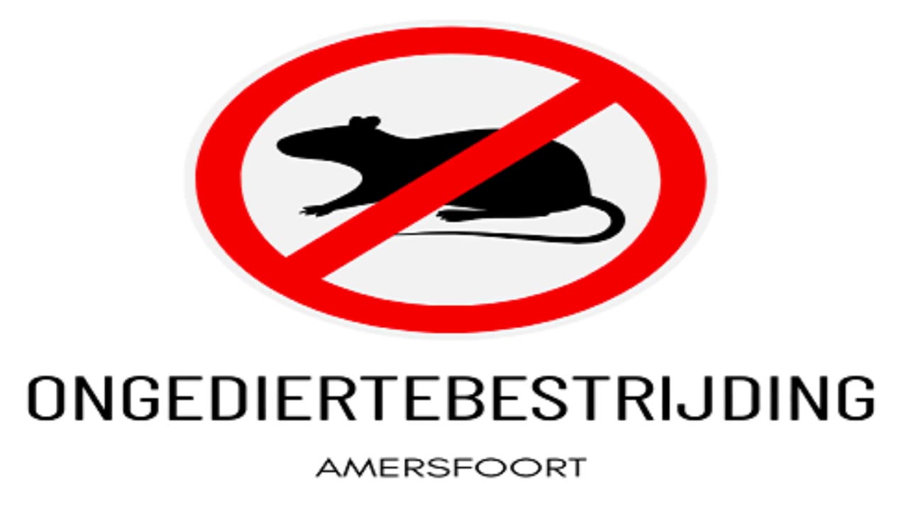 Ongediertebestrijding Amersfoort