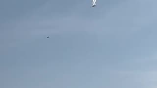 Rancher in Rural Georgia 🇬🇪 Has His Mind Blown by Massive C130 Falling Out of The Sky