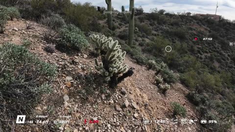 Black Canyon City Show January 26 2026