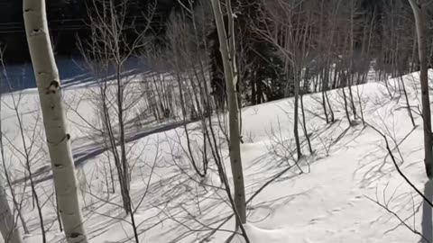 Splitboarding/Touring at Guardsman Pass, Utah