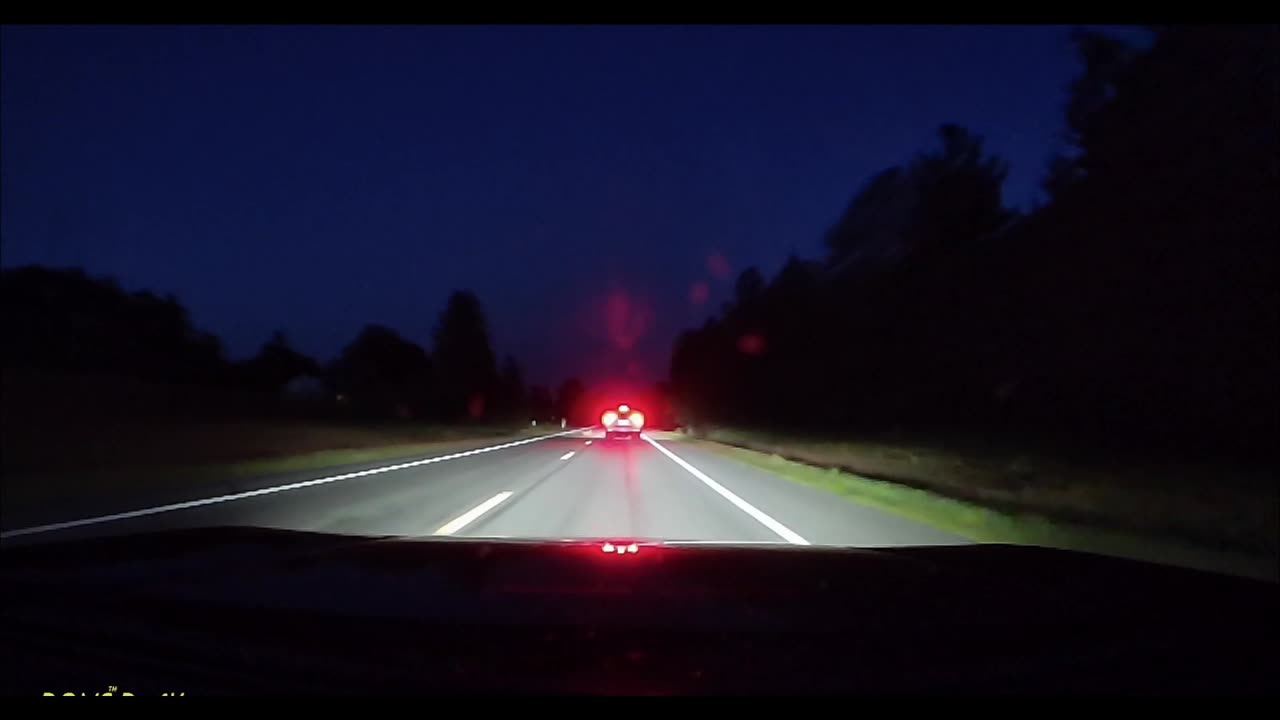 Ralphie Attacked By A Weavecat!