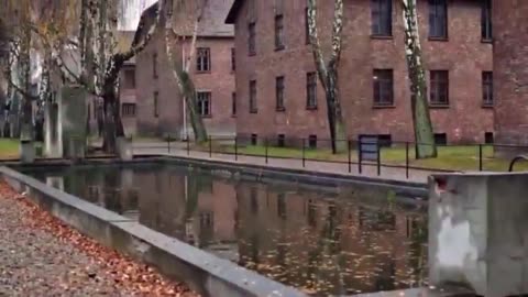 The Truth About Auschwitz Physician Dr. Josef Mengele