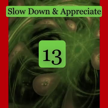 APPRECIATION . . 31 Days of Sound Therapy