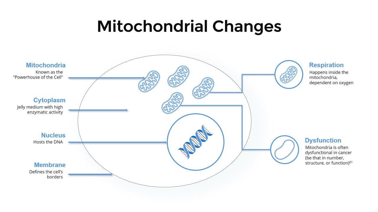 Mitochondrial Changes