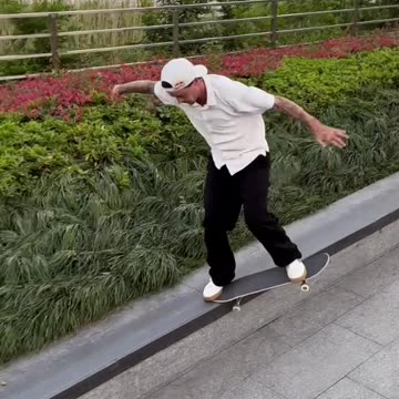 #WED🧈 Gustavo Ribeiro