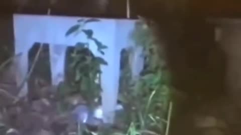 😨👻 You Won't Believe What They Caught on Camera! Demon | TheHauntingHour