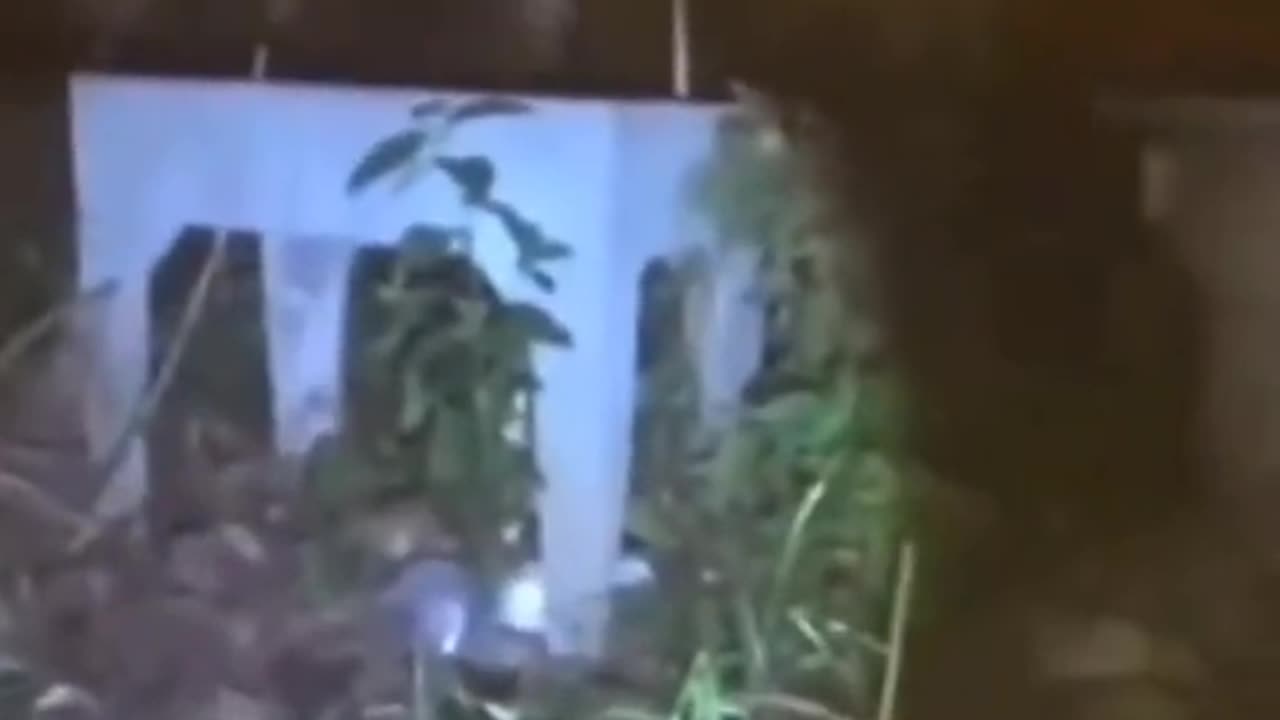 😨👻 You Won't Believe What They Caught on Camera! Demon | TheHauntingHour