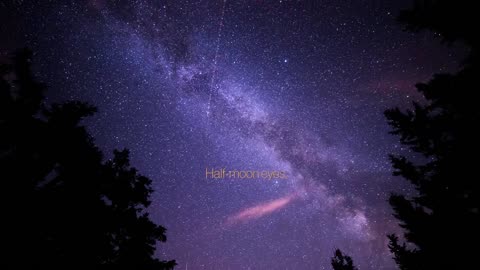 Taylor Swift - Question...? (Official Lyric Video)