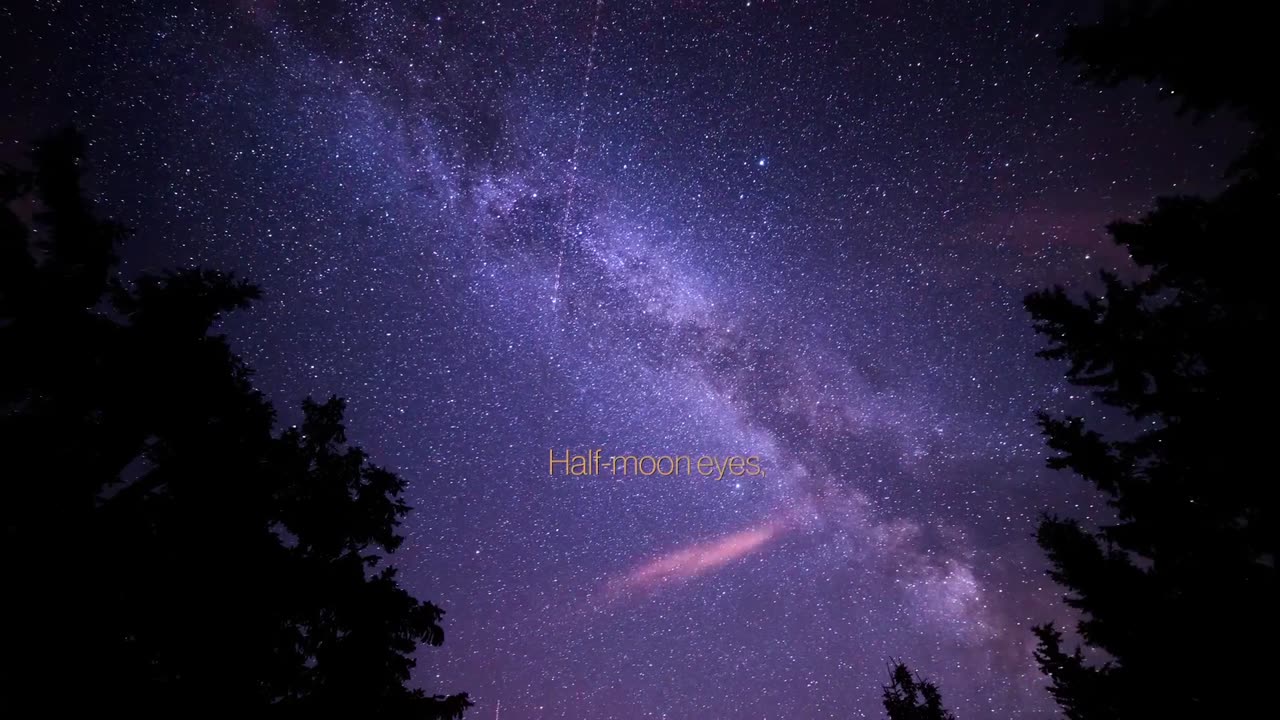 Taylor Swift - Question...? (Official Lyric Video)